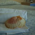 Otel Rivazzurra Trebbiantico